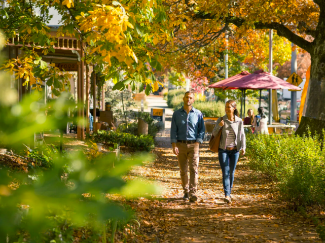 202512171347-3124768926.png image.png