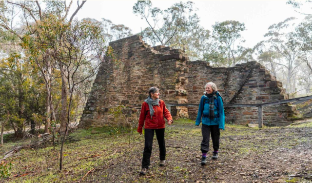 202512171348-1427083460.png image.png