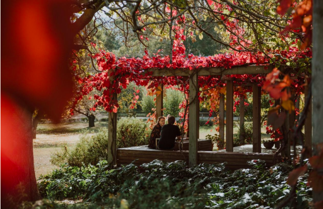 202512171348-3256427613.png image.png