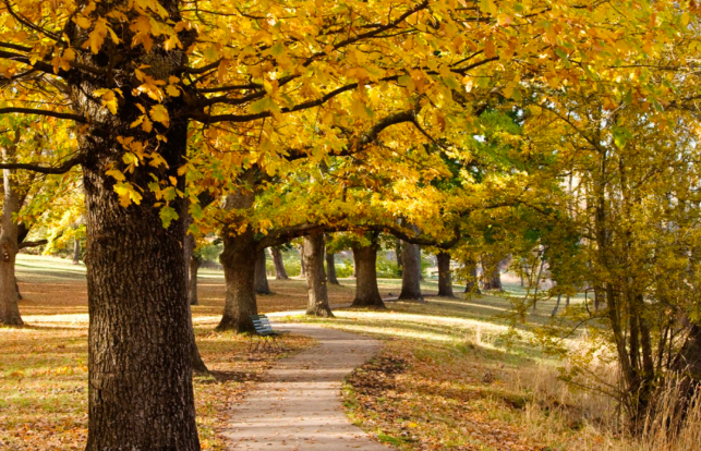 202512171348-5028453470.png image.png