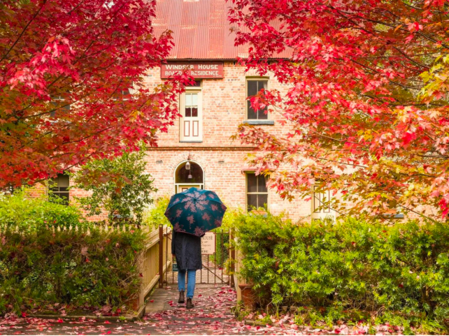 202512171349-2535948910.png image.png