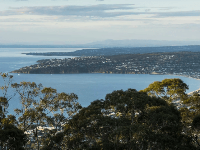 202512171349-2946756136.png image.png