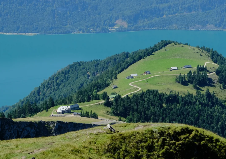 202512171619-7432887621.png image.png