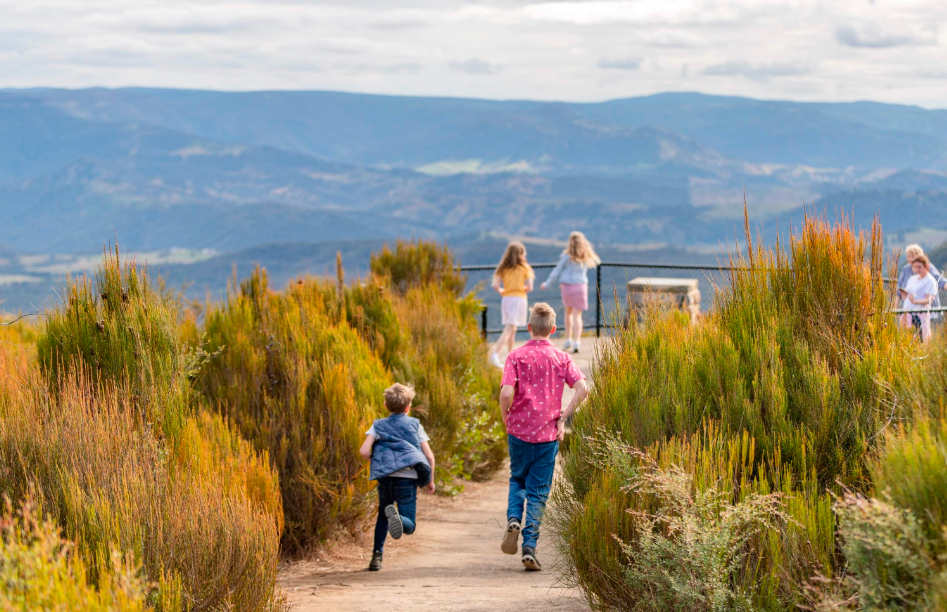 202512180912-5845527616.png image.png