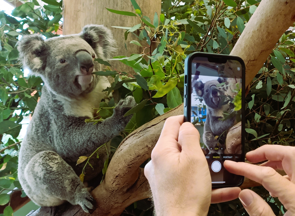 202512180923-4884005462.png image.png