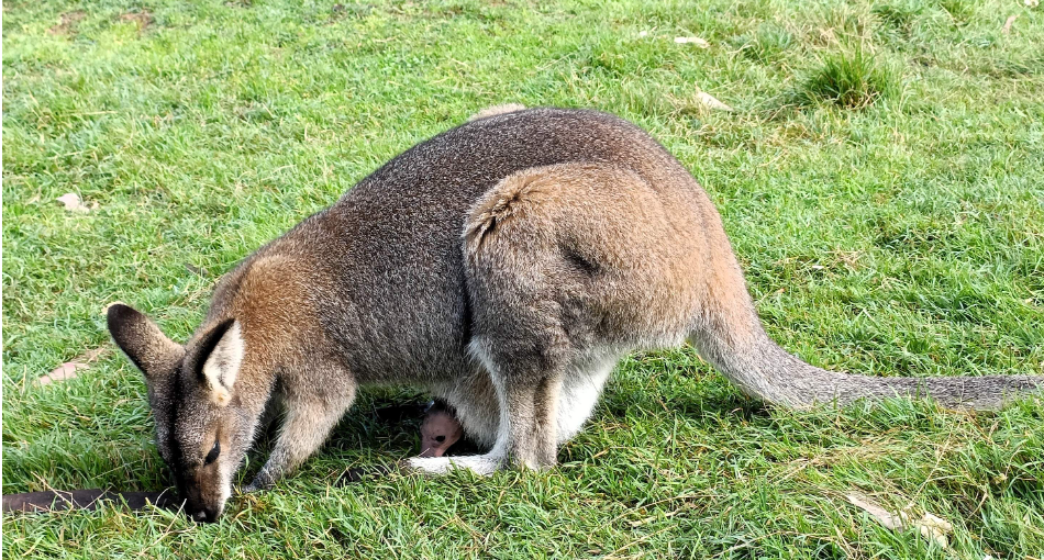 202512180924-6998757604.png image.png