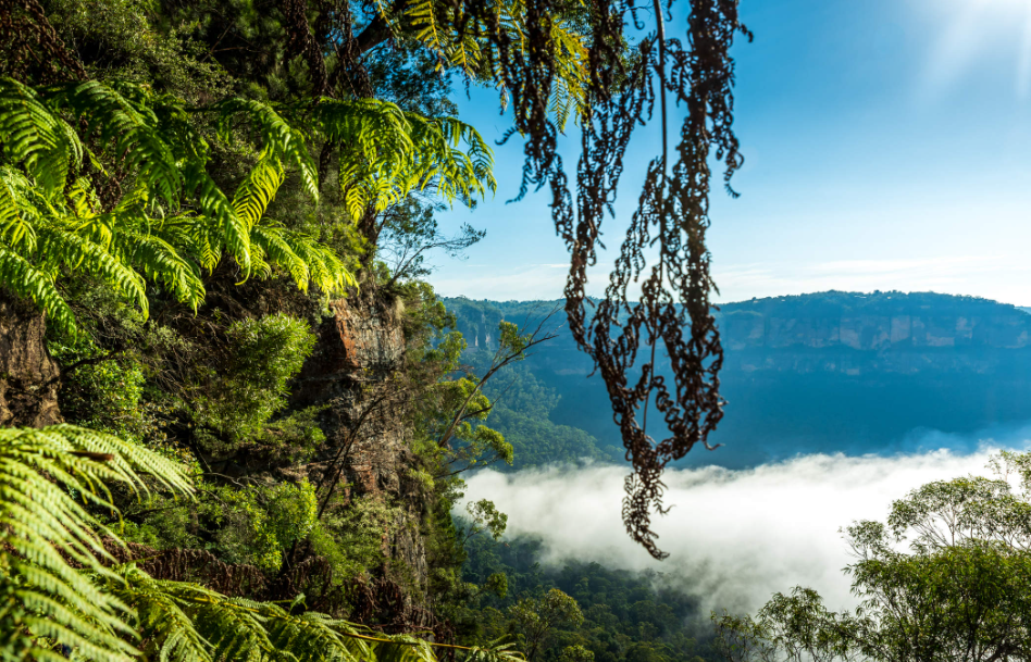 202512180928-4221615537.png image.png