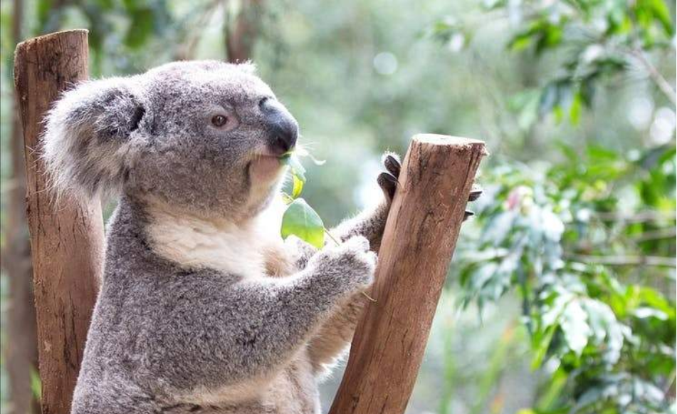 202512180938-1471329980.png image.png