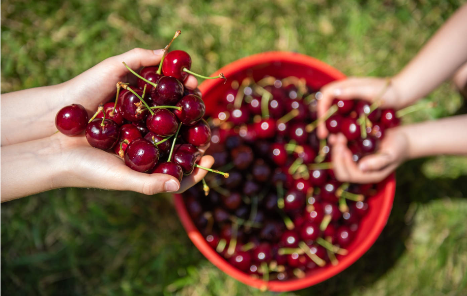 202512181025-2408624239.png image.png