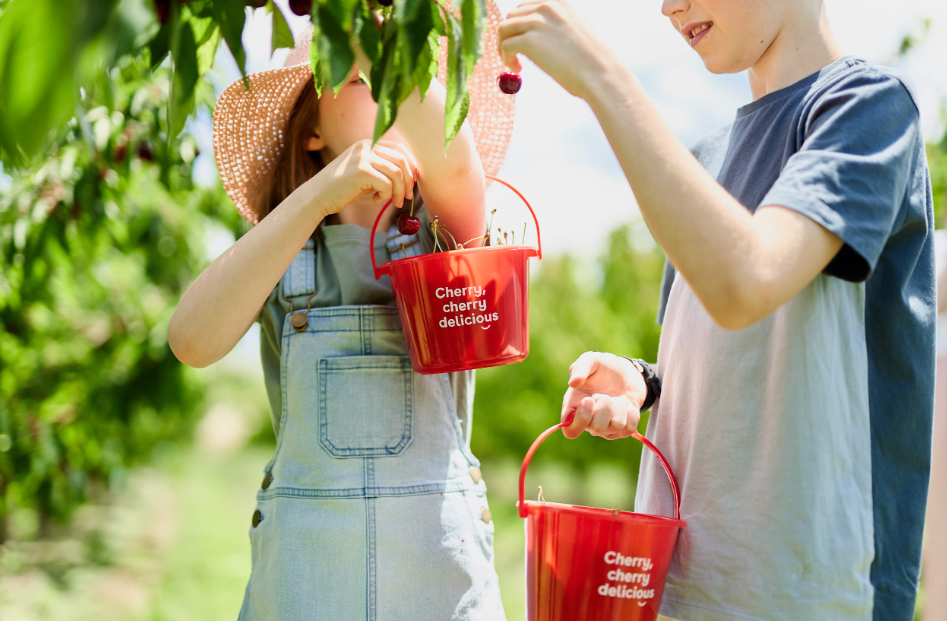 202512181028-6350080824.png image.png