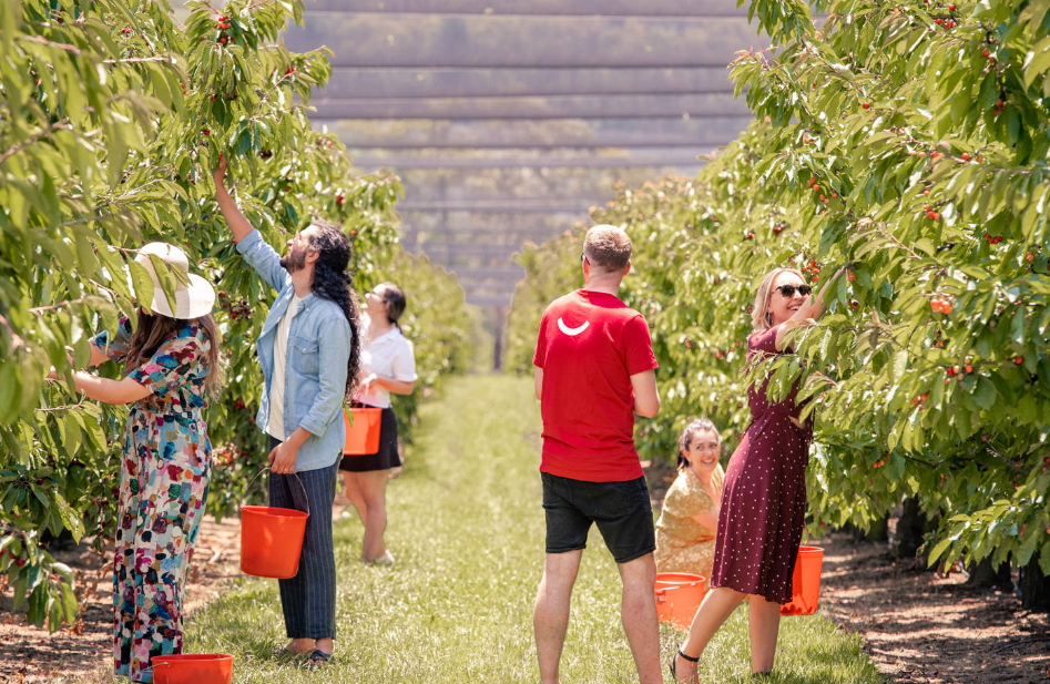 202512181029-6975009101.png image.png