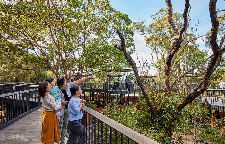 202512181129-6364103312.png image.png