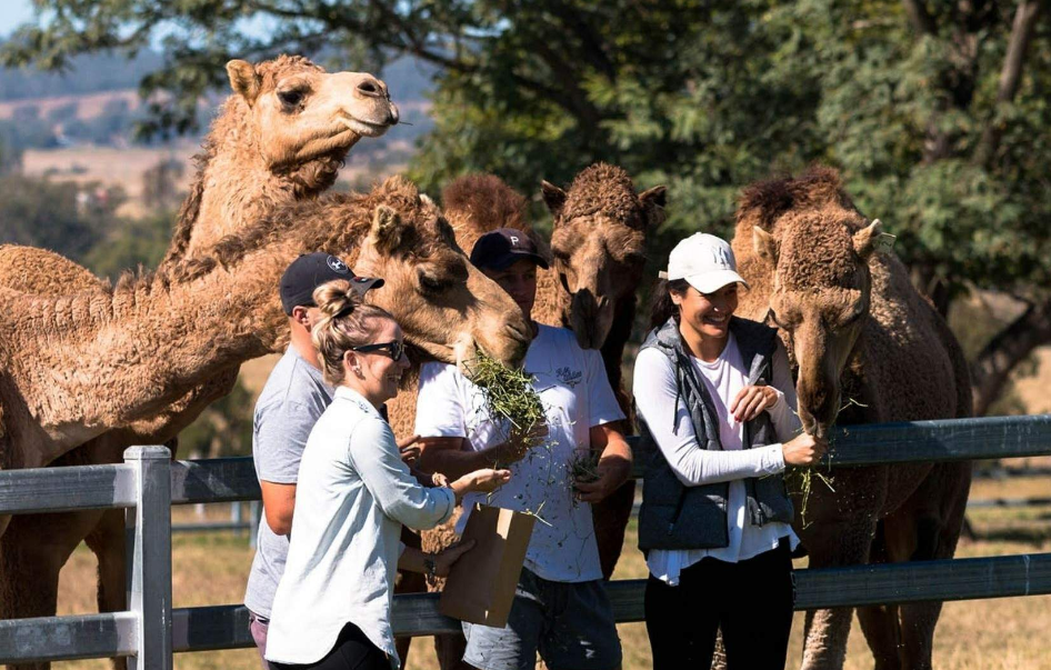 202512181140-6354057240.png image.png