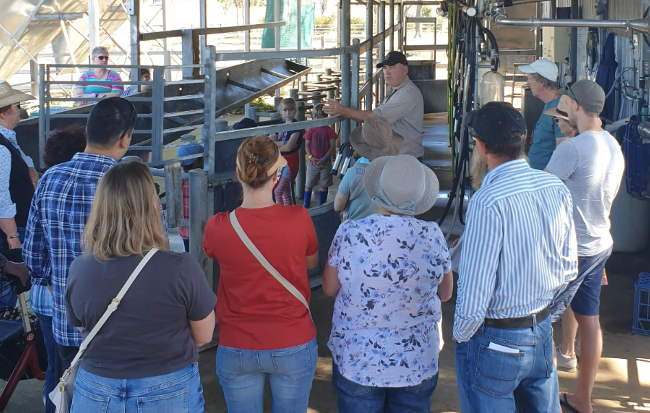 202512181141-2924572715.png image.png