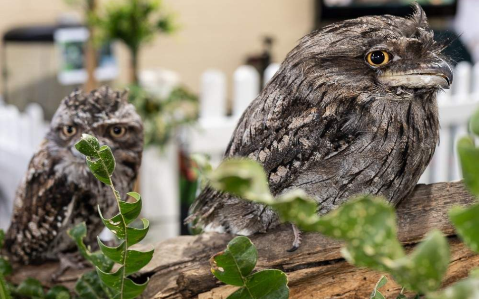 202512181149-9857759592.png image.png