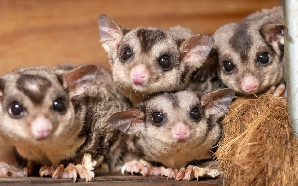 202512181150-4142633476.png image.png