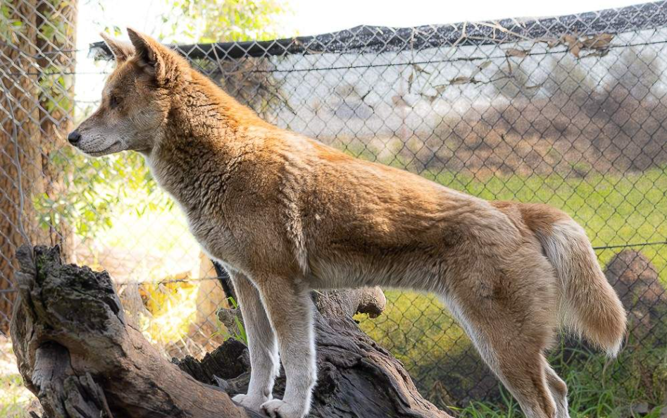 202512181150-4828115980.png image.png