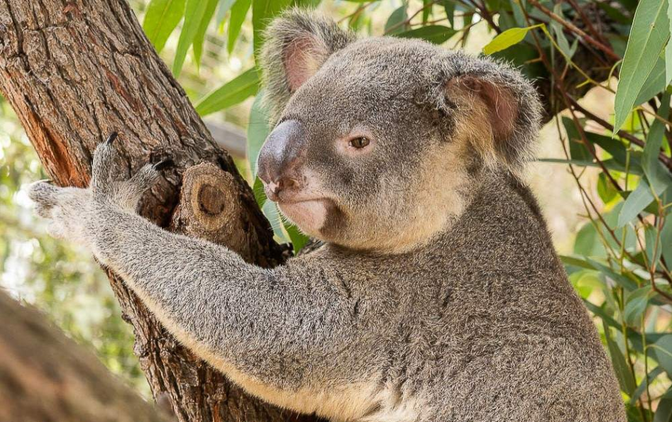 202512181151-1059479541.png image.png