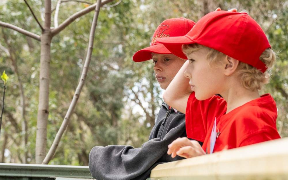 202512181151-8325485963.png image.png