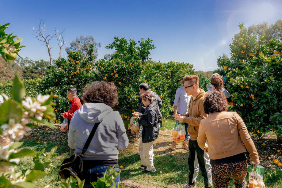 202512181319-2711283779.png image.png