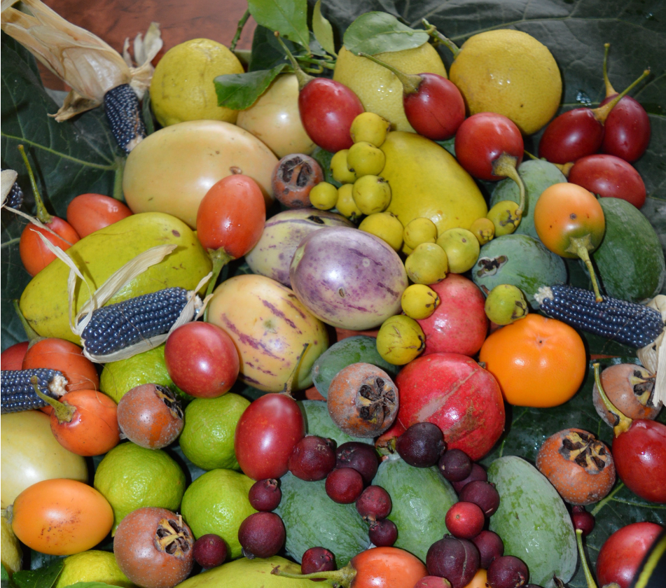 202512181323-8529281250.png image.png