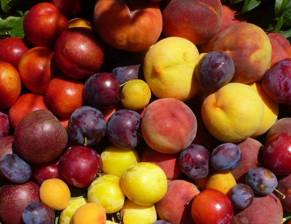 202512181323-8767592280.png image.png