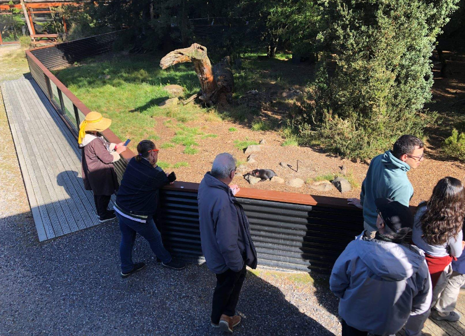 202512181332-2713115907.png image.png