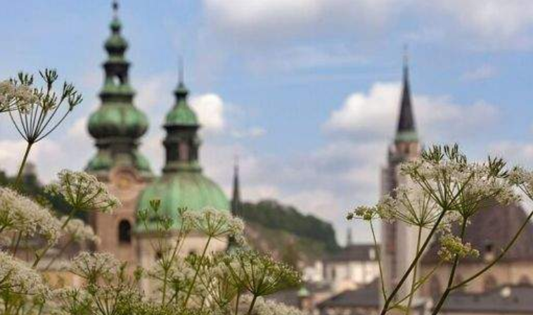 202512181332-7026424889.png image.png