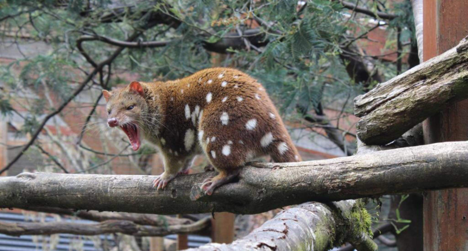 202512181333-3644082897.png image.png