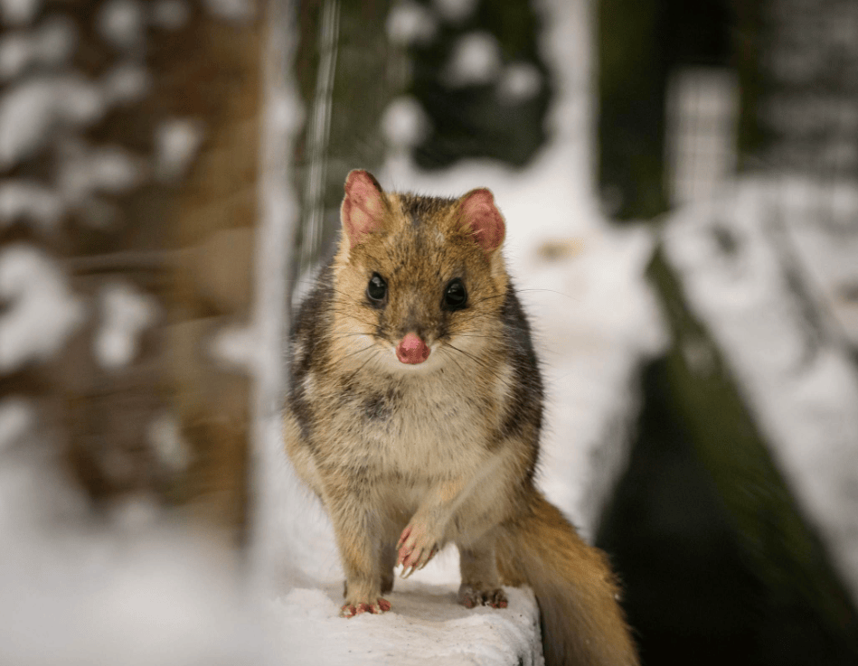 202512181333-5210031206.png image.png