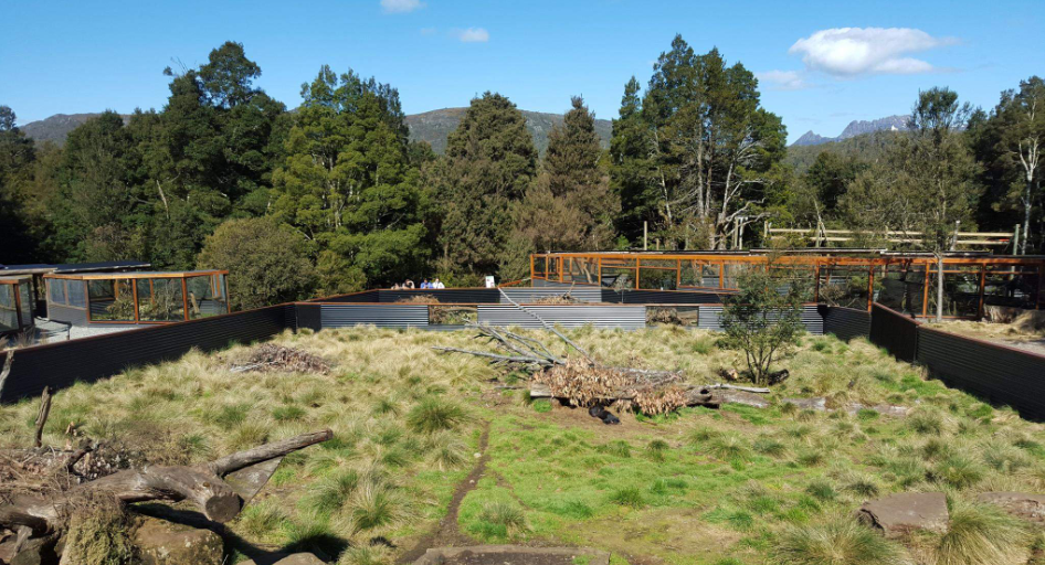 202512181333-7723434265.png image.png