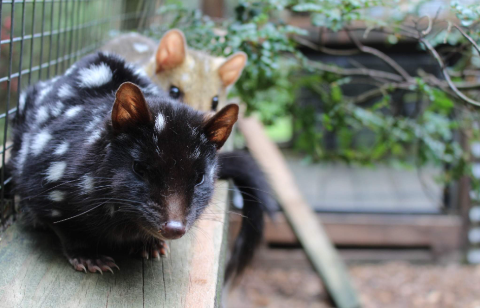 202512181334-3970328760.png image.png