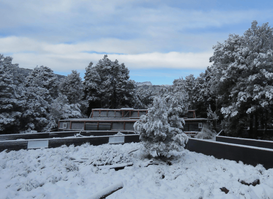 202512181334-5990891955.png image.png