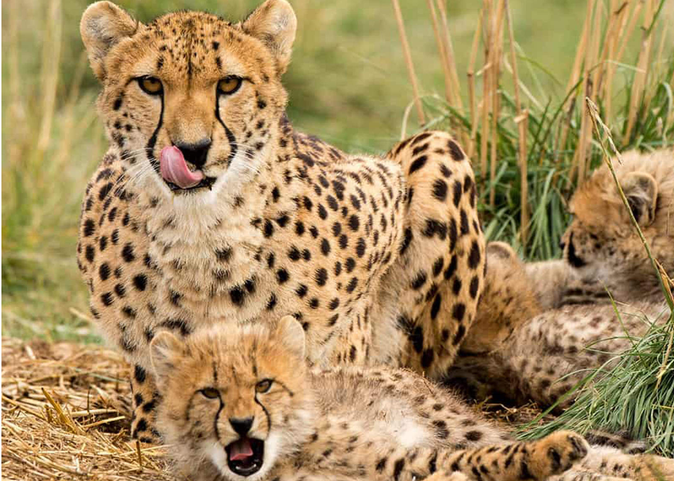 202512181344-2894403026.png image.png