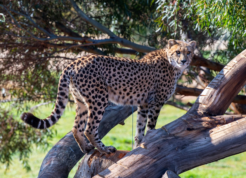 202512181344-5952424581.png image.png