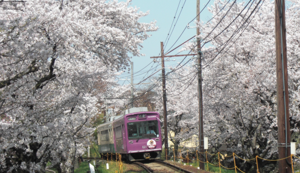 202512181350-1725194126.png 企业微信截图_17660369427168.png