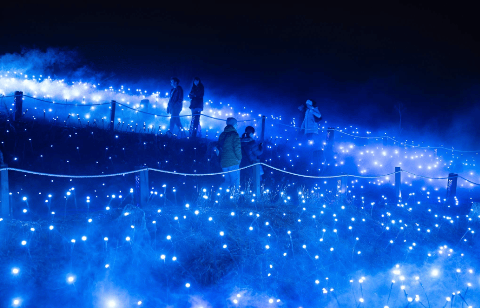 202512181351-7585023643.png image.png