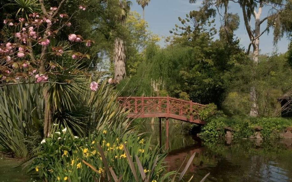 202512181357-1145420198.png image.png