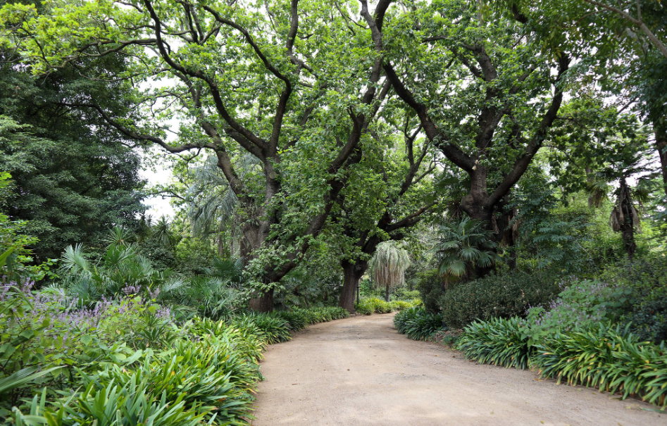 202512181358-9626288334.png image.png