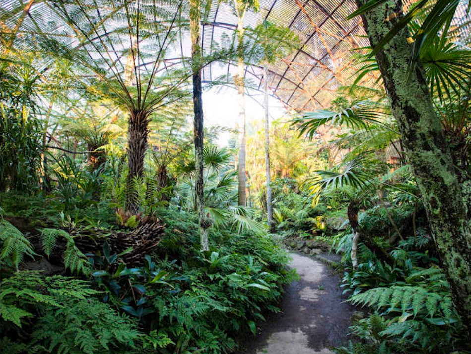 202512181400-3981526844.png image.png