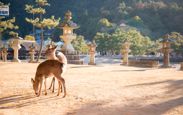 202512181408-5667066913.png 企业微信截图_17660380183980.png