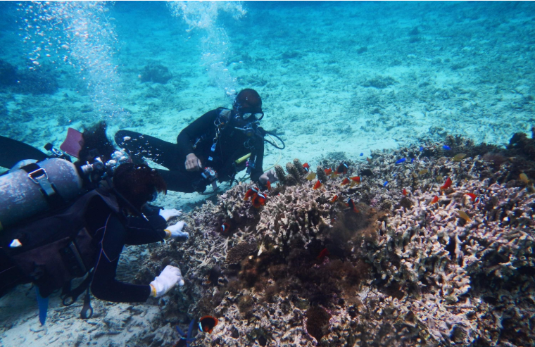 202512181415-8260835254.png 企业微信截图_17660385038925.png