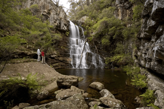 202512181419-2922944130.png image.png