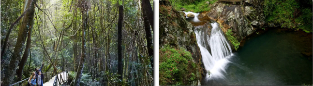 202512181420-6447187900.png image.png