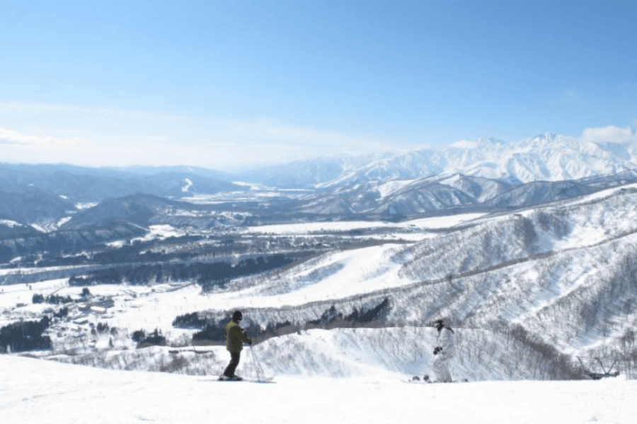 屏幕截图 2025-09-18 132253.png