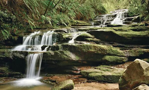 202512181448-7133677673.png image.png