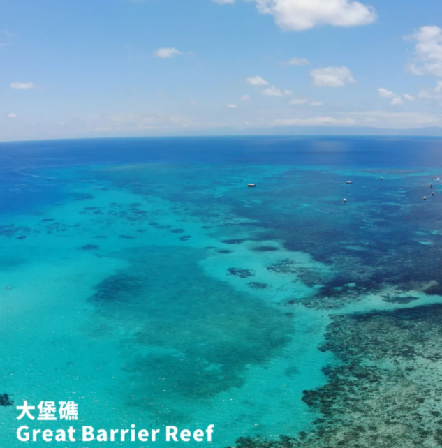 202512181511-4072514876.png image.png