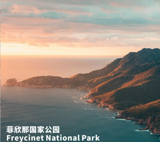 202512181512-3617402723.png image.png