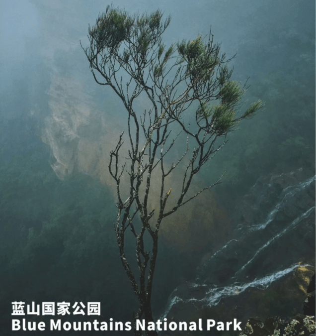 202512181512-6697953520.png image.png