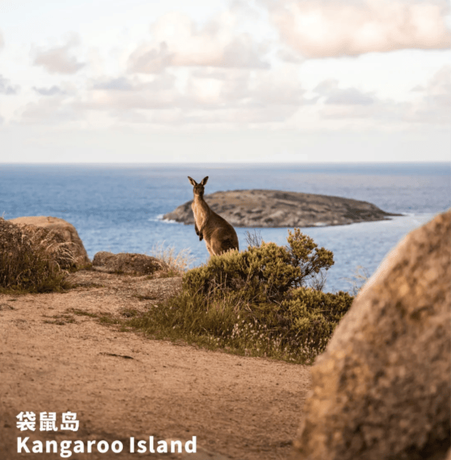 202512181512-8855045855.png image.png